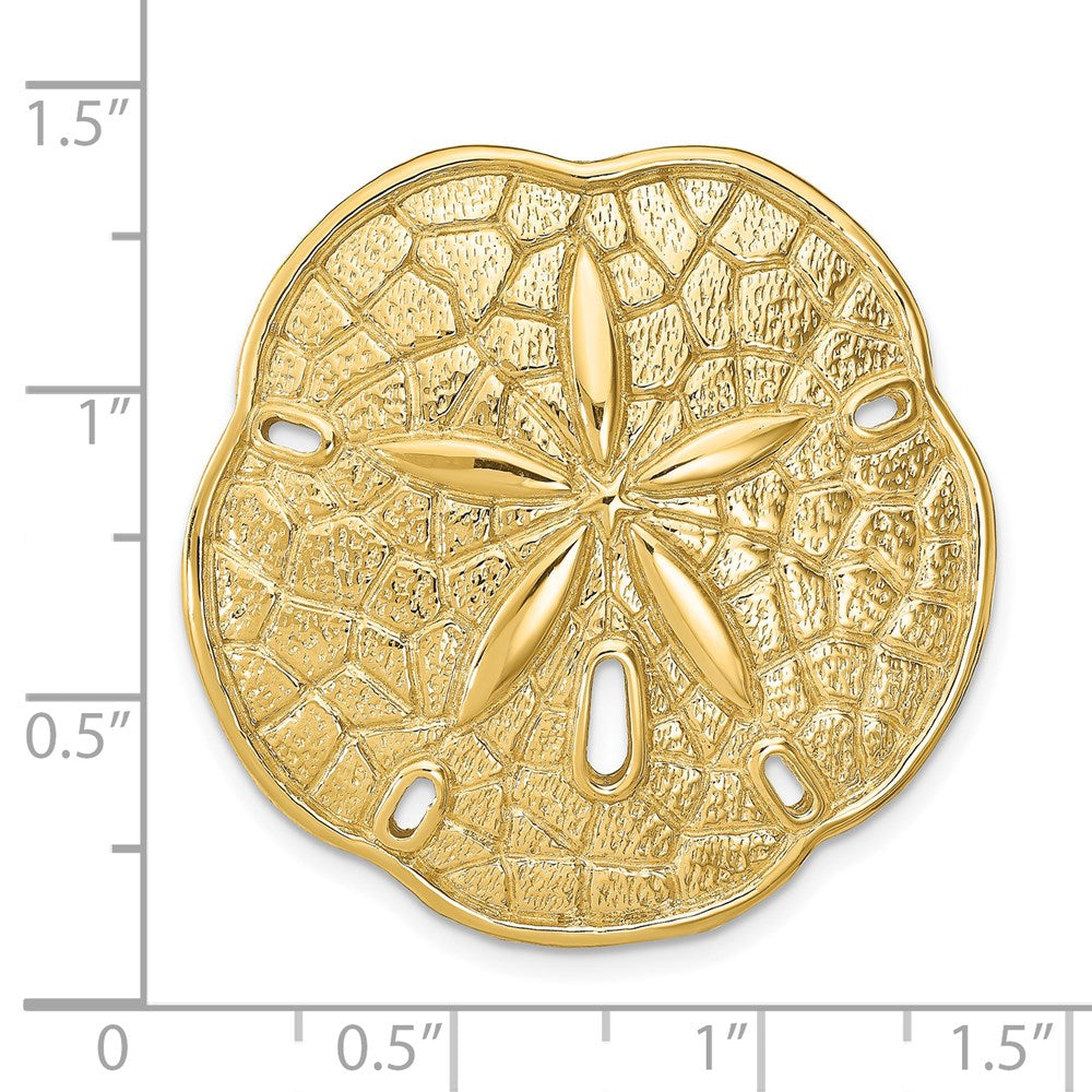 14K Gelbgold Sand Dollar Anhänger
