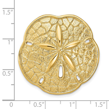 14K Gelbgold Sand Dollar Anhänger
