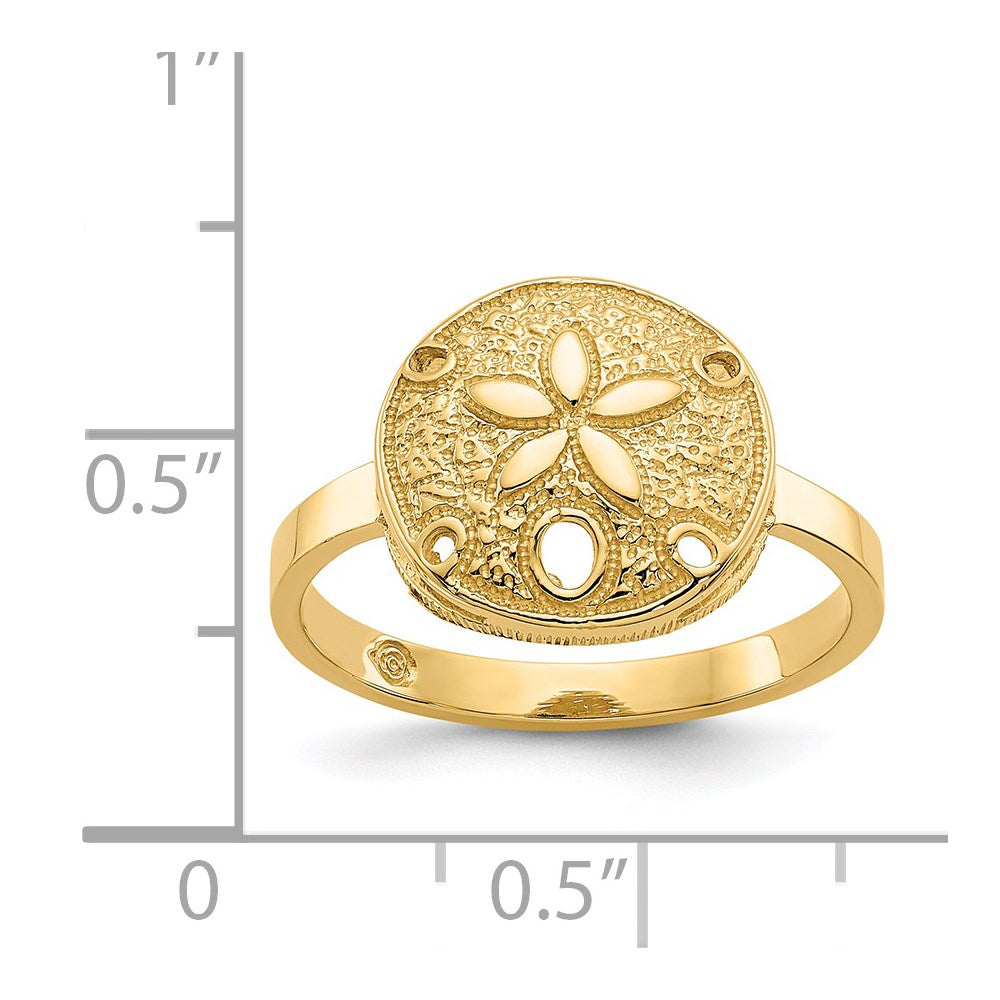 Ring aus 14K Gelbgold mit poliertem Sanddollar-Motiv