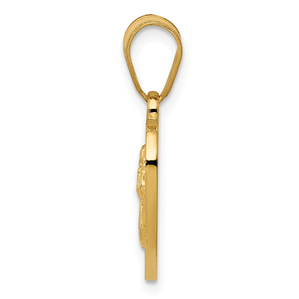14K Gelbgold Polierter & Satinierter Engel-Charm