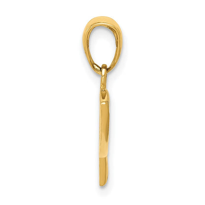 14K Gelbgold Ichthus Fisch Anhänger