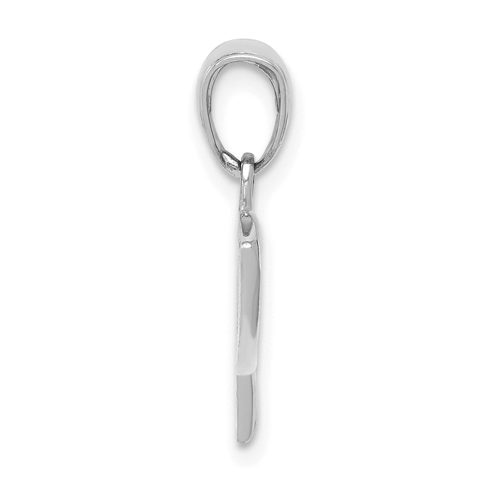 14K Weißgold Ichthus Fisch Anhänger