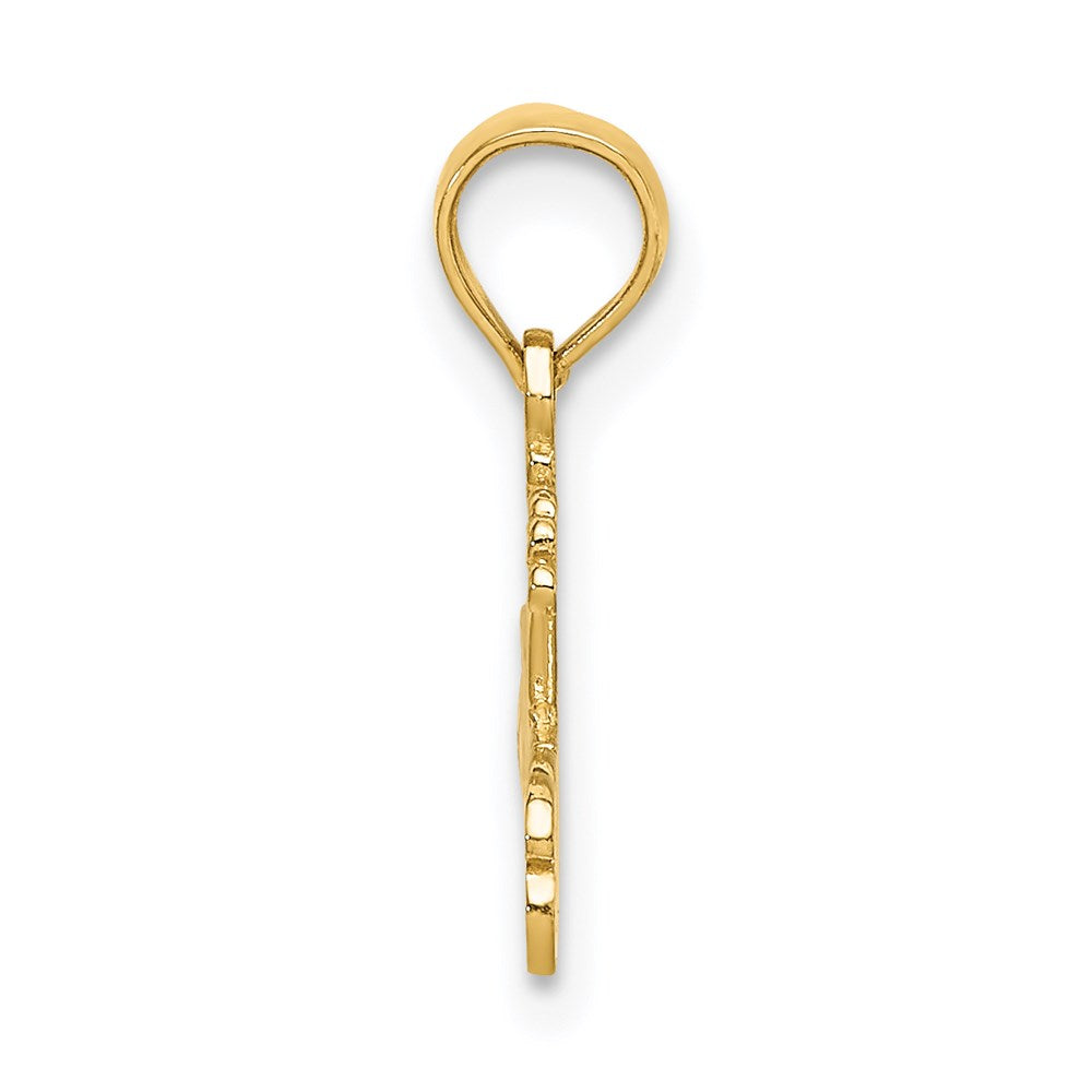 14K Gelbgold #1 Princess Charm
