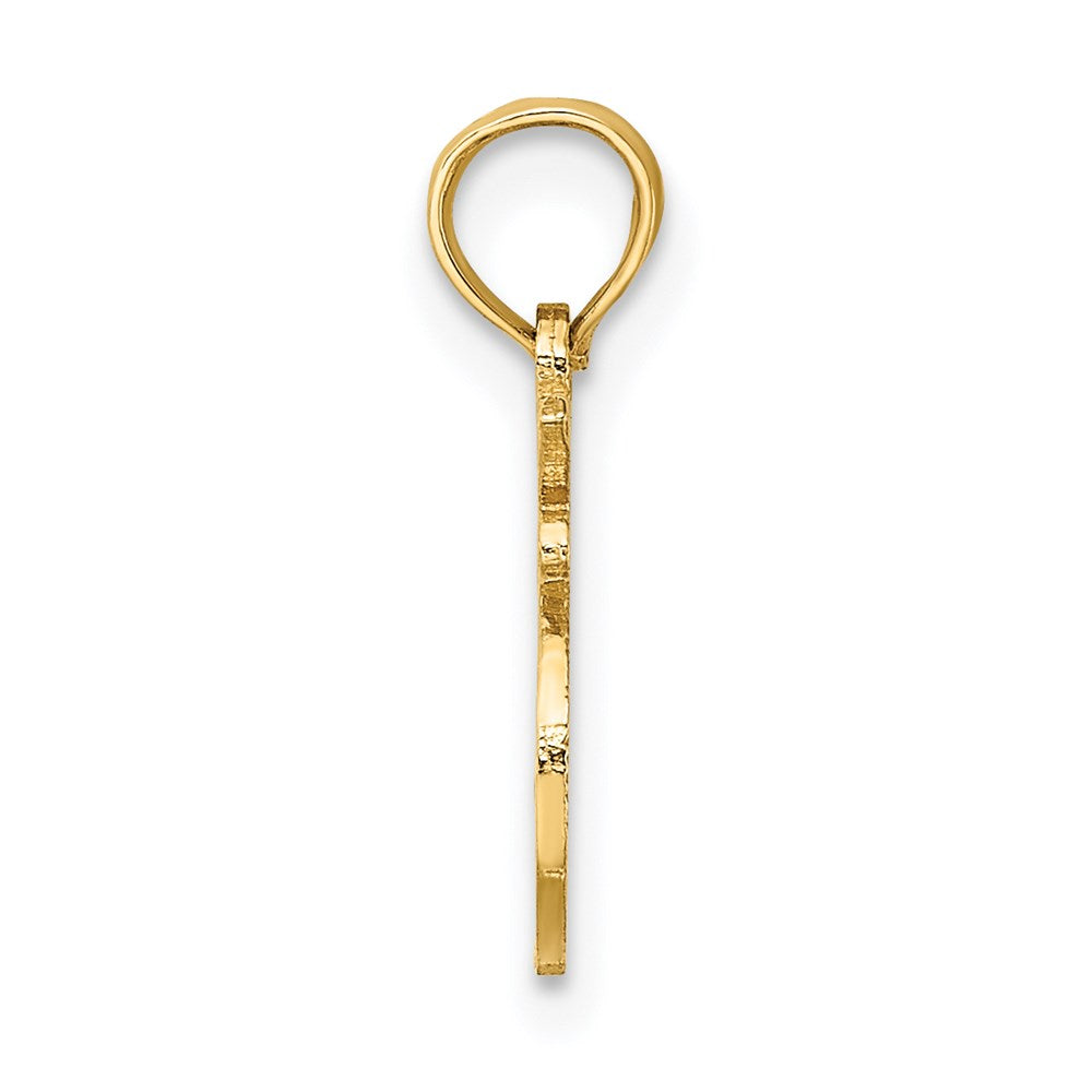 14K Gelbgold 100% Leo Tierkreis Charm