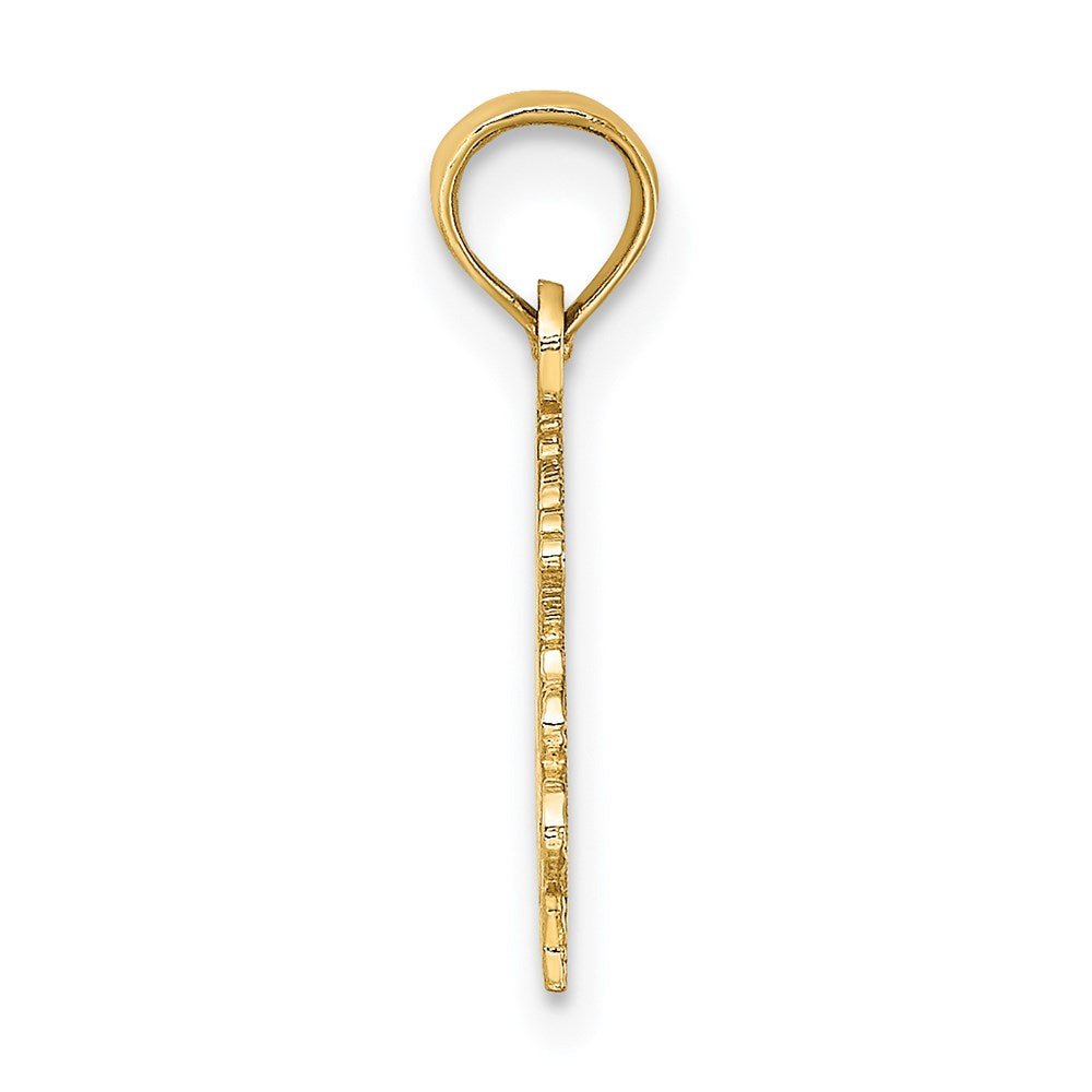 14K Gelbgold 100% Capricorn Tierkreis Charm