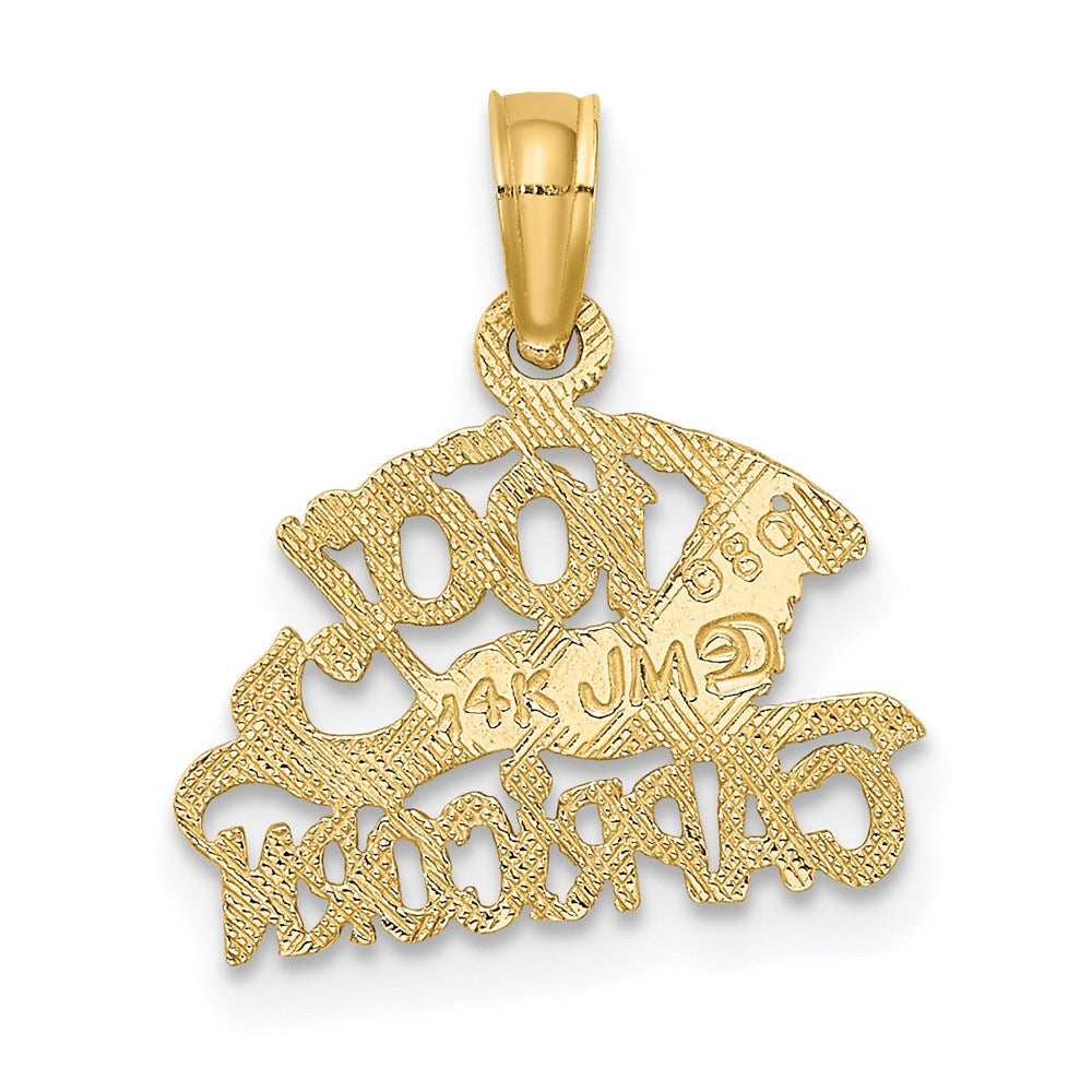 14K Gelbgold 100% Capricorn Tierkreis Charm