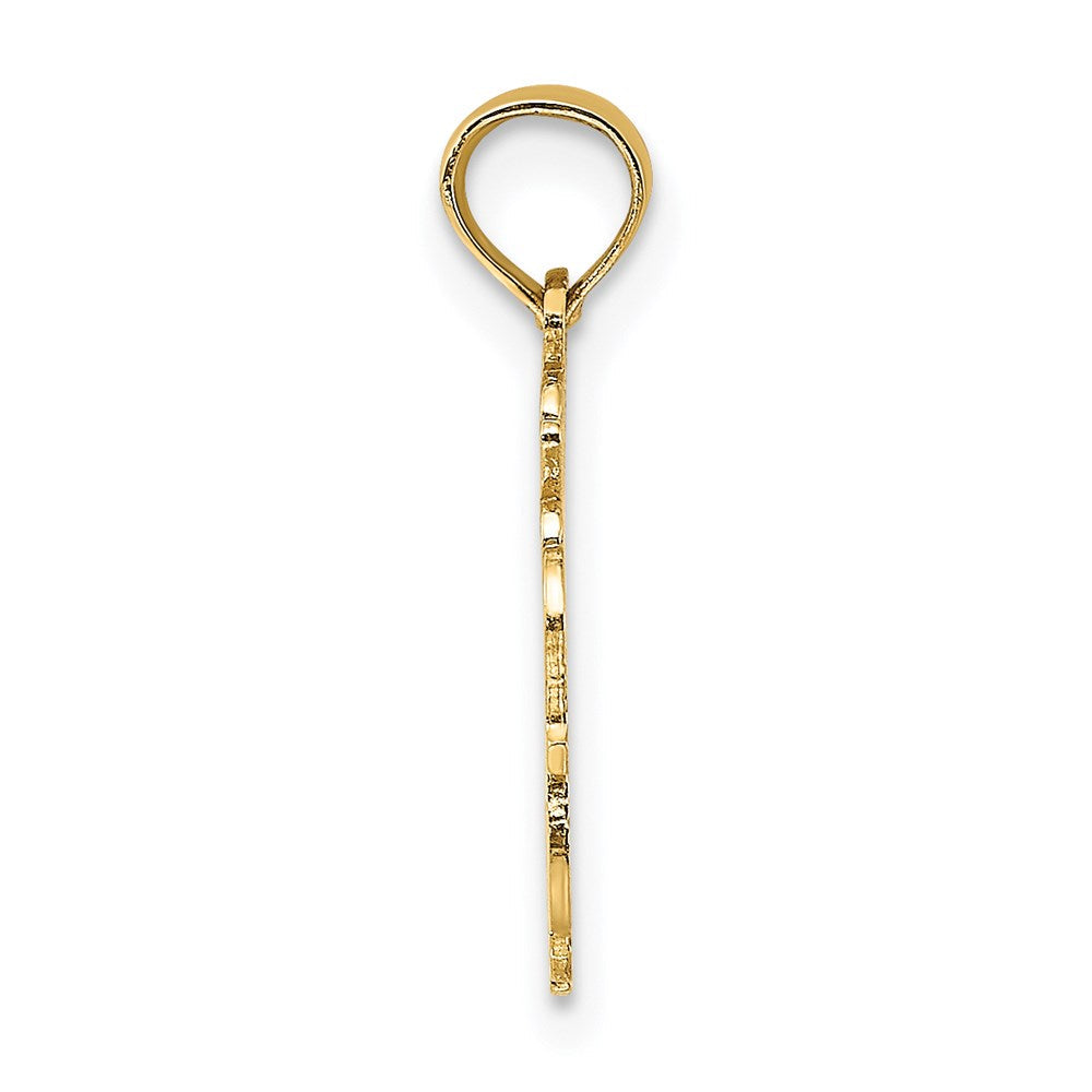 14K Gelbgold 100% Aquarius Tierkreis Charm