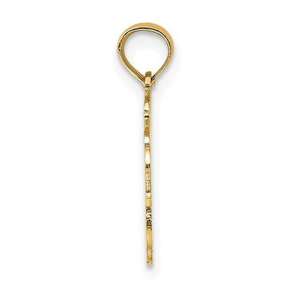 14K Gelbgold 100% Aquarius Tierkreis Charm