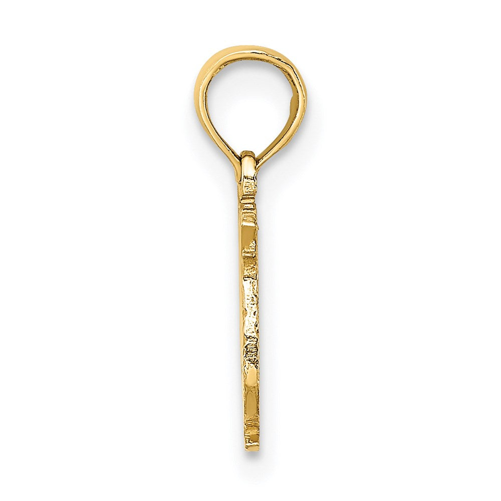 14K Gelbgold 100% Pisces Tierkreis Charm