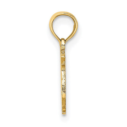 14K Gelbgold 100% Pisces Tierkreis Charm