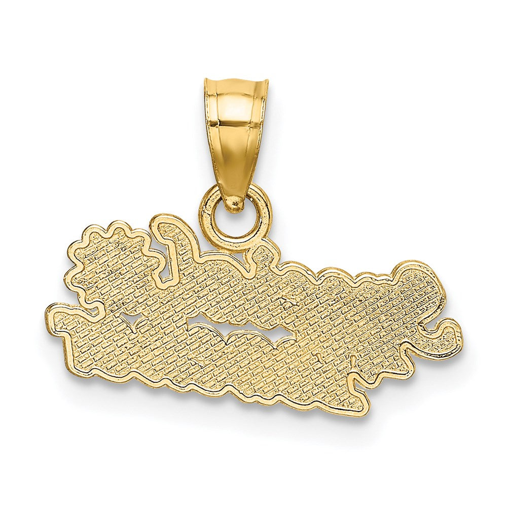 14K Gelbgold Special Lehrer mit Blume Charm