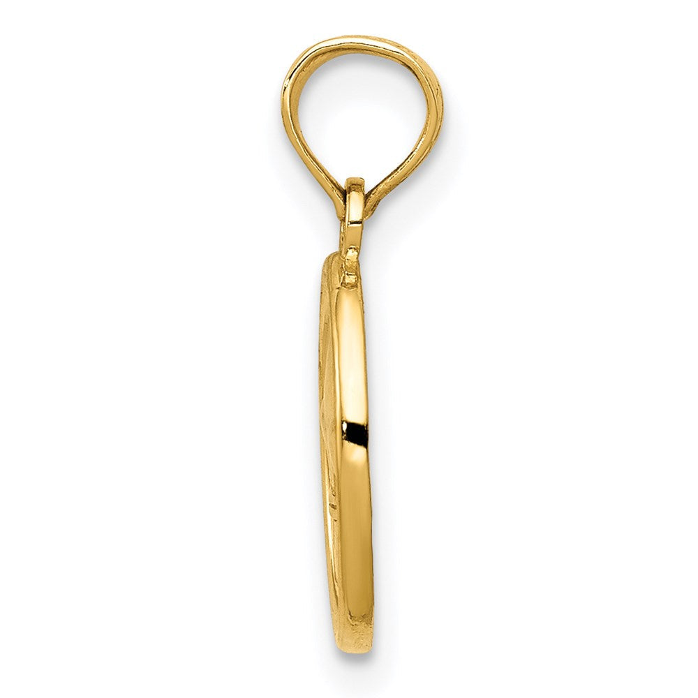 14K Gelbgold Poliert Klein Fleur De Lis in Oval Anhänger