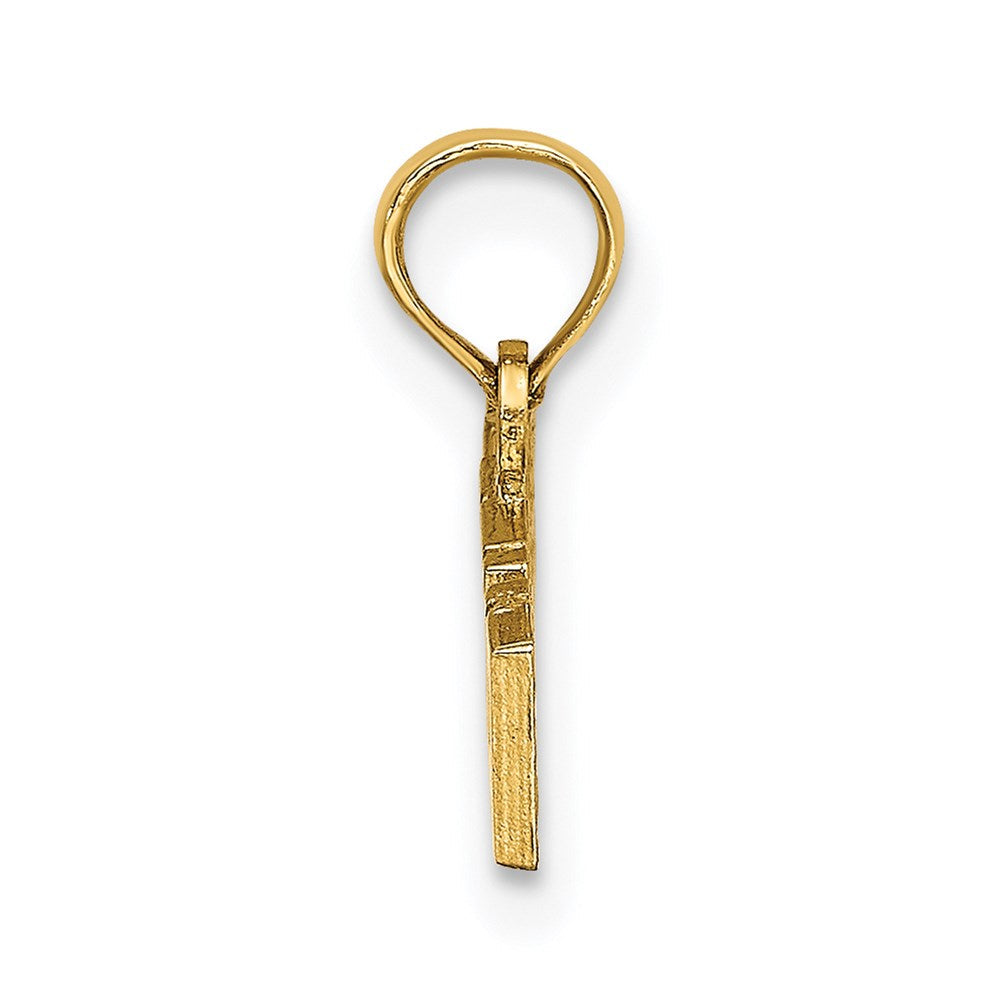 14K Gelbgold Poliert Alaska Charm