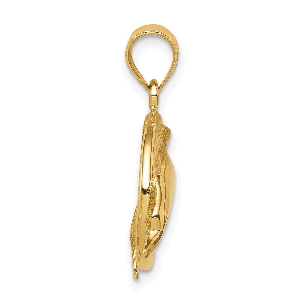 14K Gelbgold Polierter Delfin-in-Ring-Anhänger