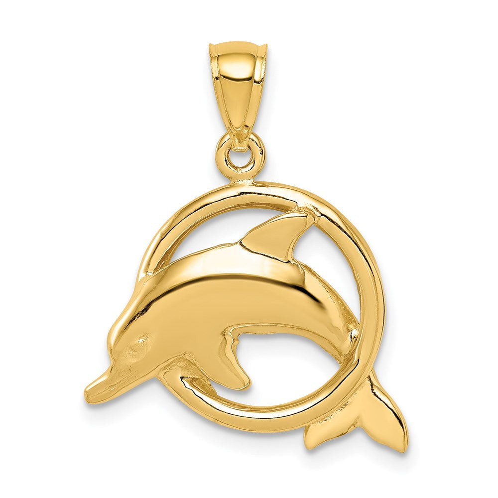 14K Gelbgold Polierter Delfin-in-Ring-Anhänger