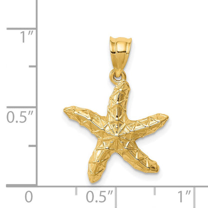 14K Gelbgold Poliert & Texturiert Seestern-Anhänger