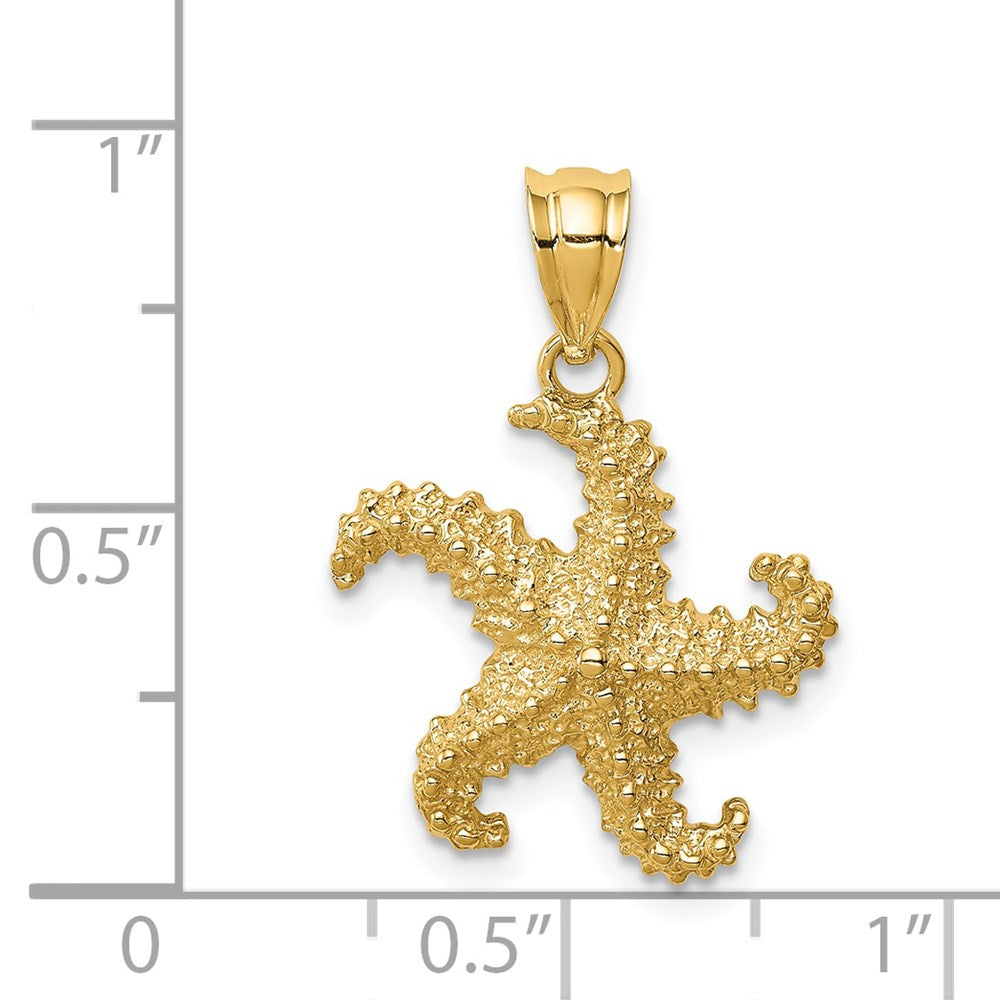 14K Gelbgold Poliert & Texturiert Seestern-Anhänger