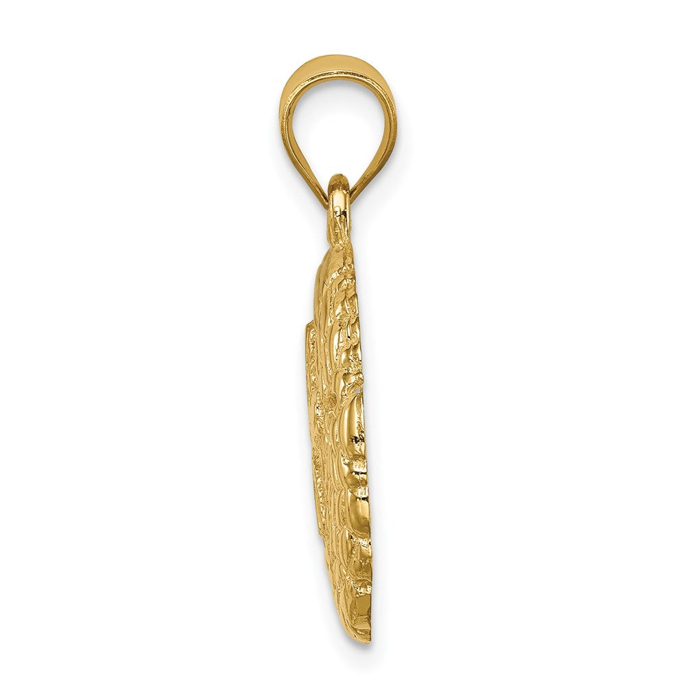 14K Gelbgold polierter Sanddollar-Anhänger