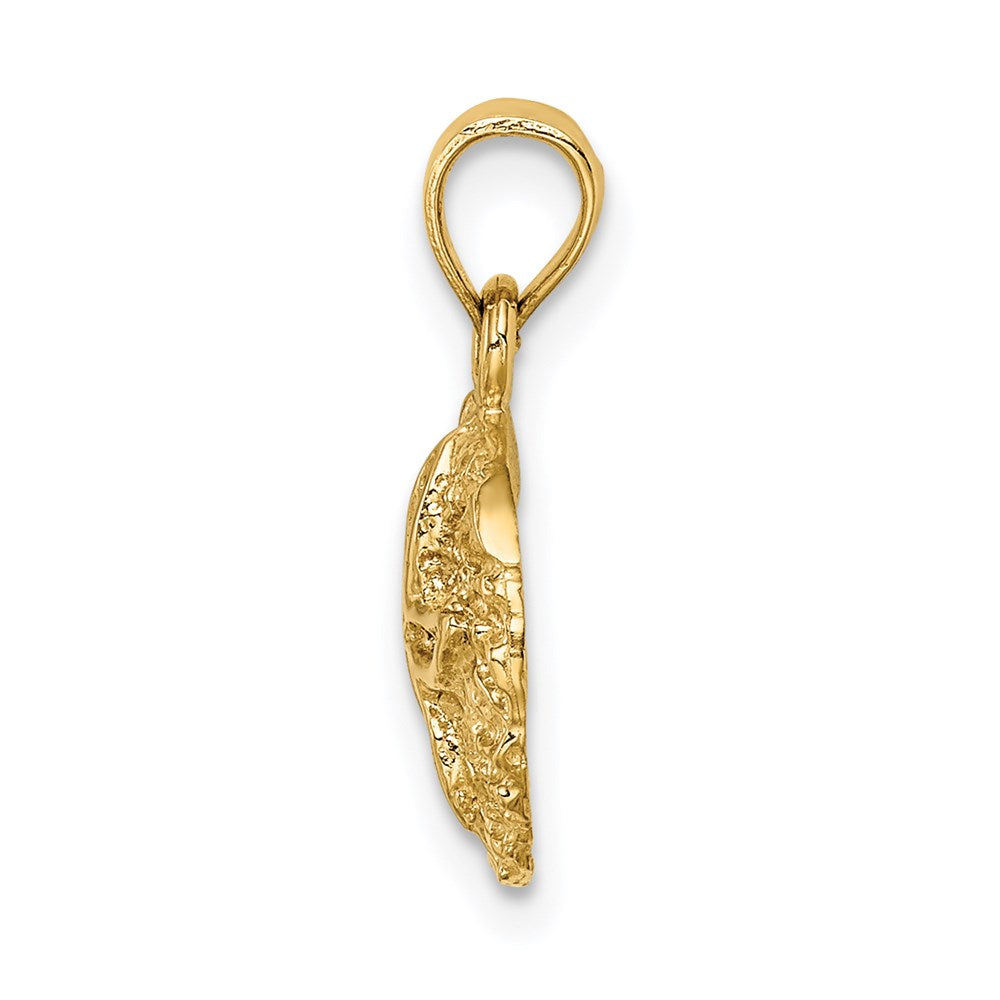 14K Gelbgold Polierter Sanddollar-Anhänger