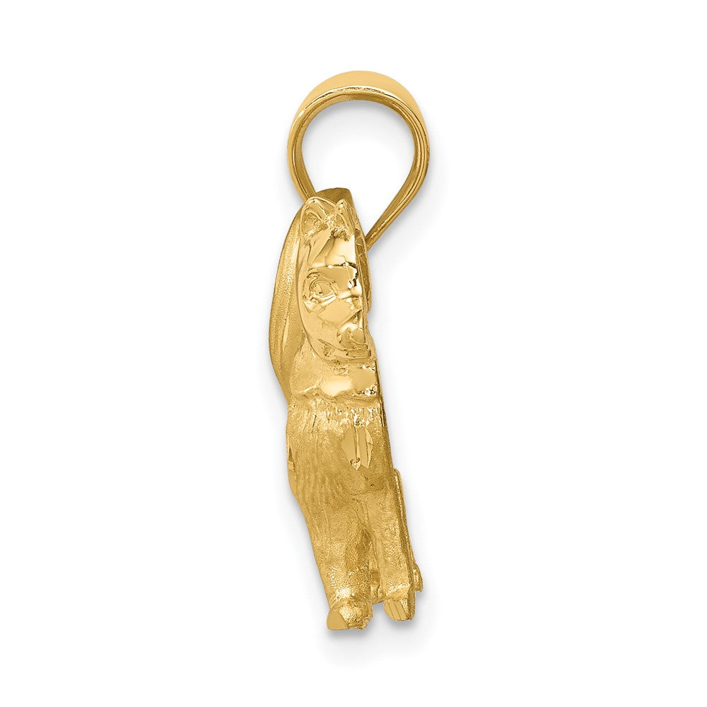 14K Gelbgold Alaska-Hund-Anhänger, gebürstet/poliert und diamantiert