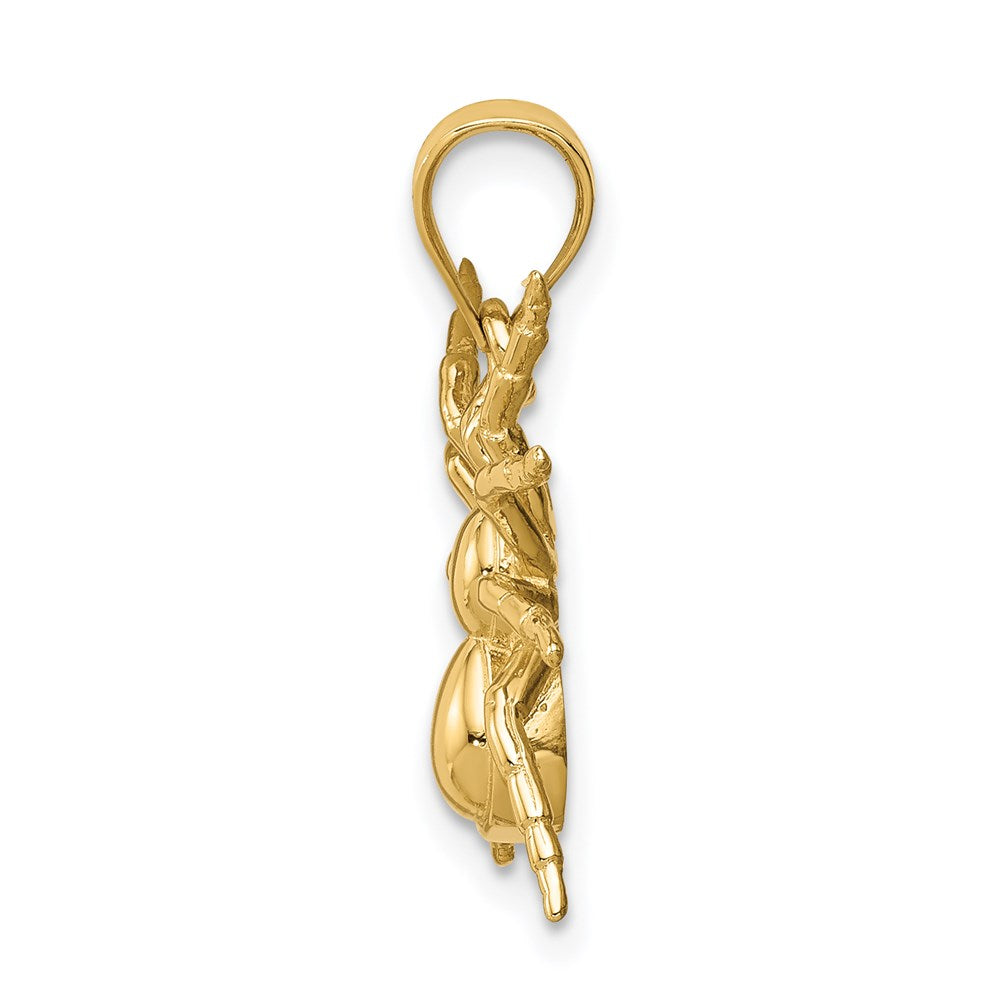 14K Gelbgold Polierter Spinnen-Anhänger