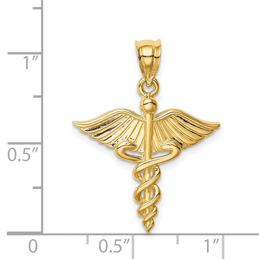 14K Gelbgold Polierter 3-D Medizin-Anhänger