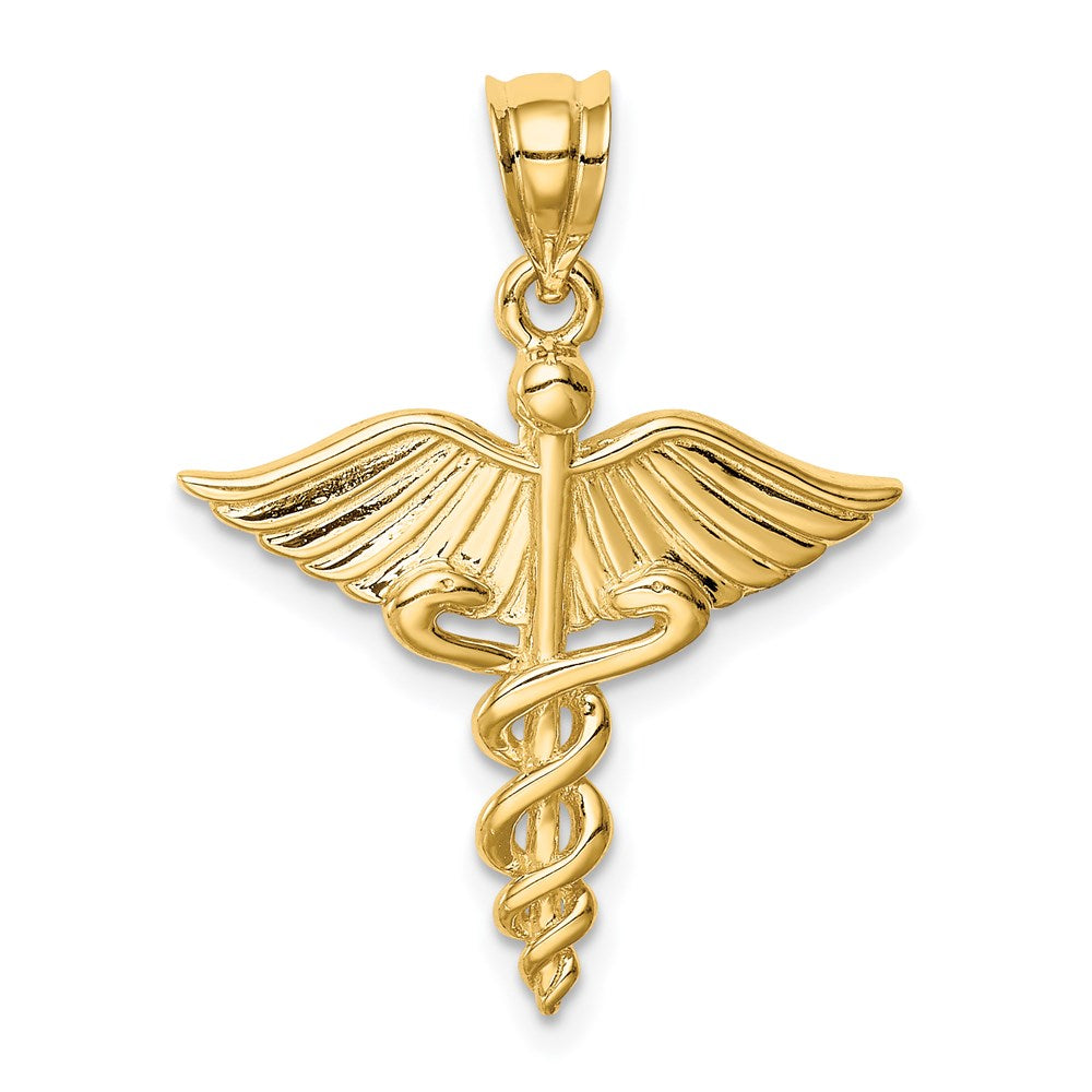 14K Gelbgold Polierter 3-D Medizin-Anhänger