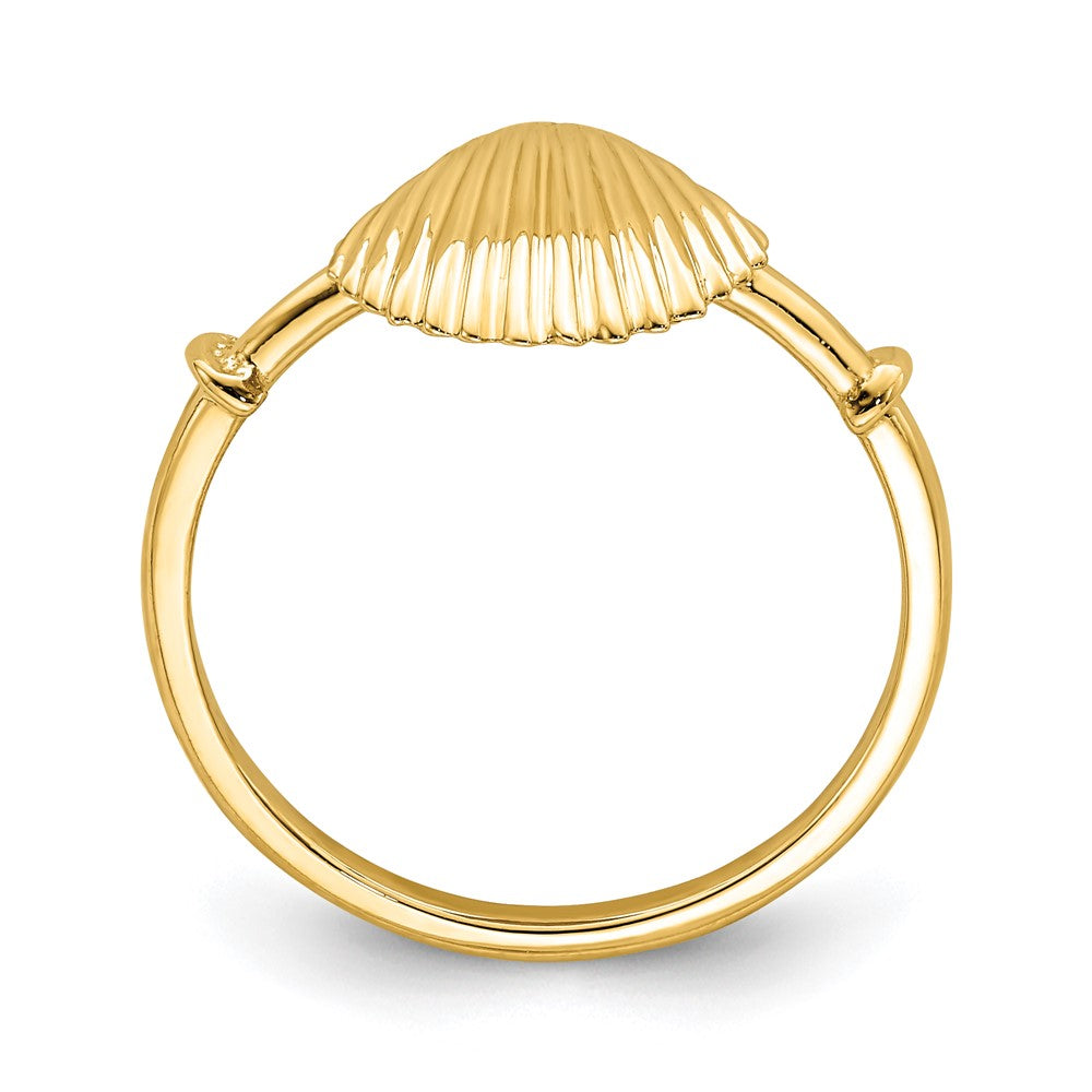 14K Gelbgold Ring mit poliertem Muschel-Design