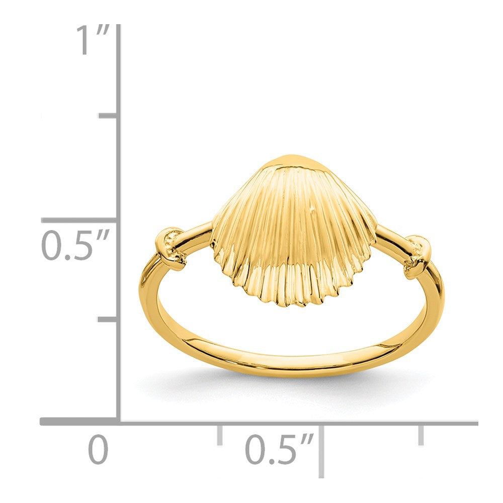 14K Gelbgold Ring mit poliertem Muschel-Design