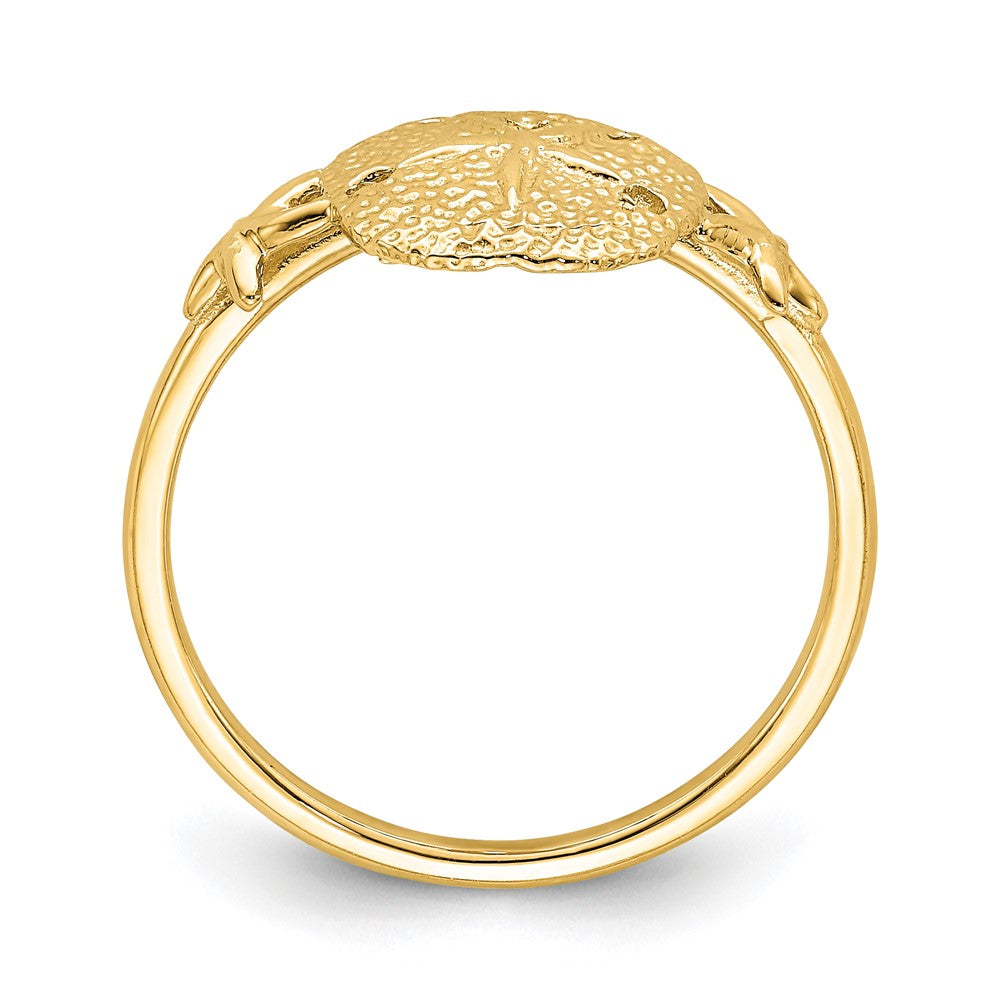 14K Gelbgold polierter Sanddollar-Ring