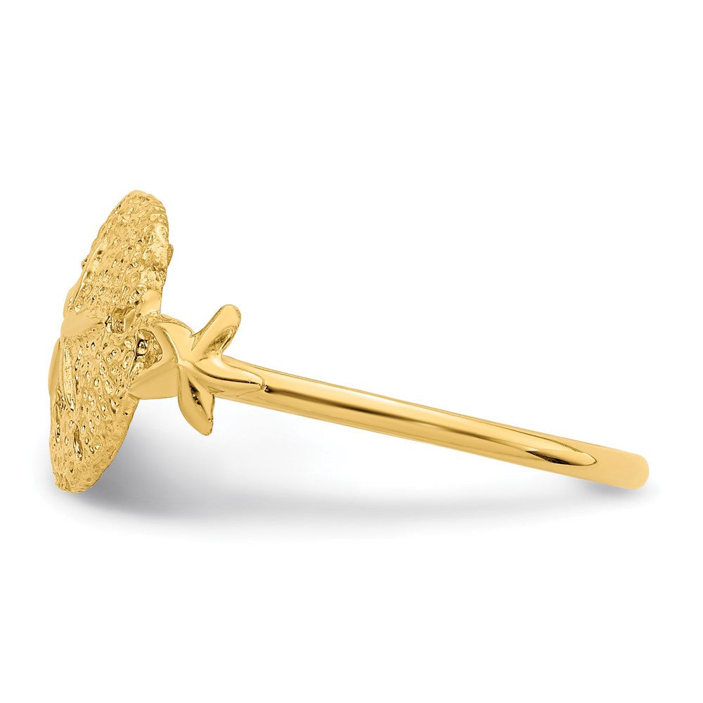 14K Gelbgold polierter Sanddollar-Ring