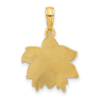 14K Gelbgold Poliert Poinsettia Blumen Anhänger