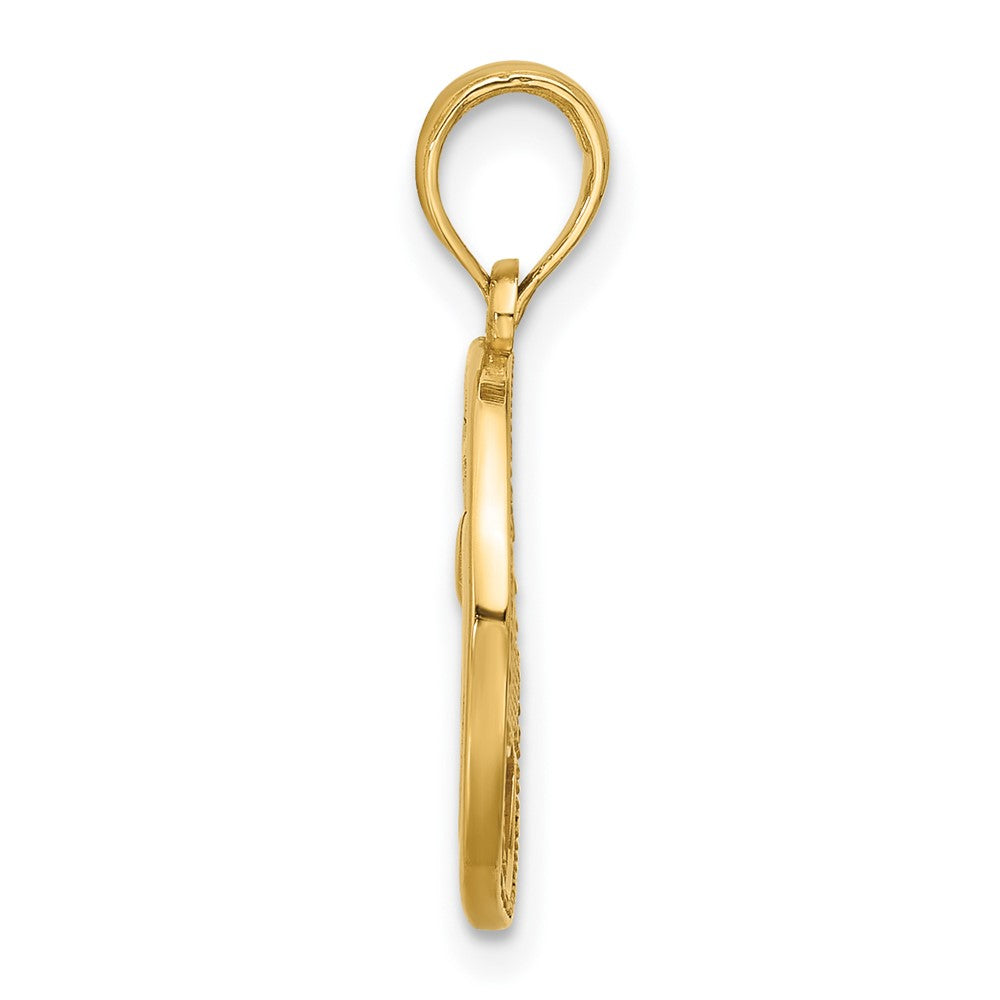 14K Gelbgold Poliert Rund Pisces Anhänger