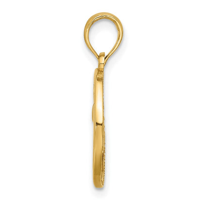 14K Gelbgold Poliert Rund Pisces Anhänger