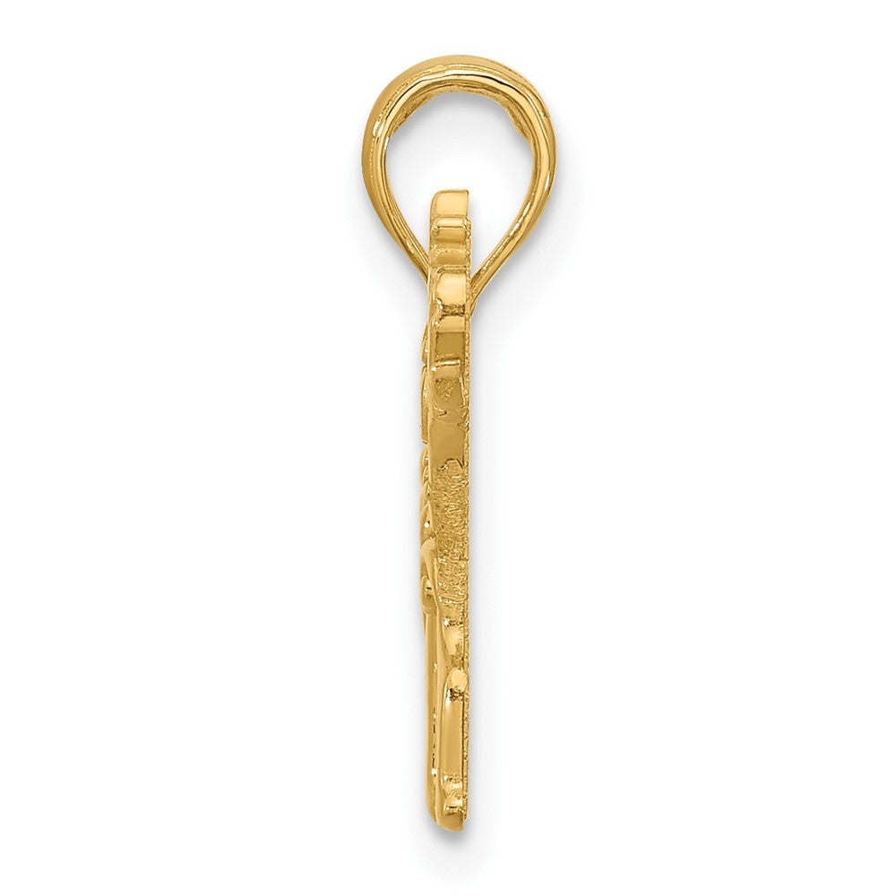 14K Gelbgold Poliert Fantasie Elefant Charm