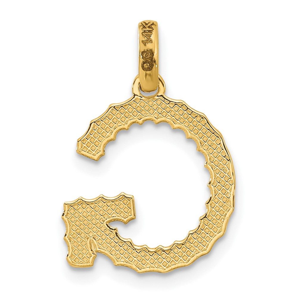 14K Gelbgold Fantasie Gedreht Buchstabe G