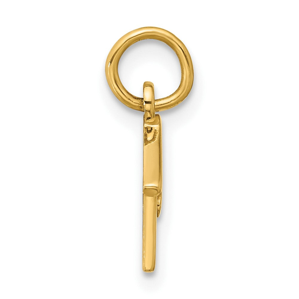 14K Gelbgold Hund House Charm