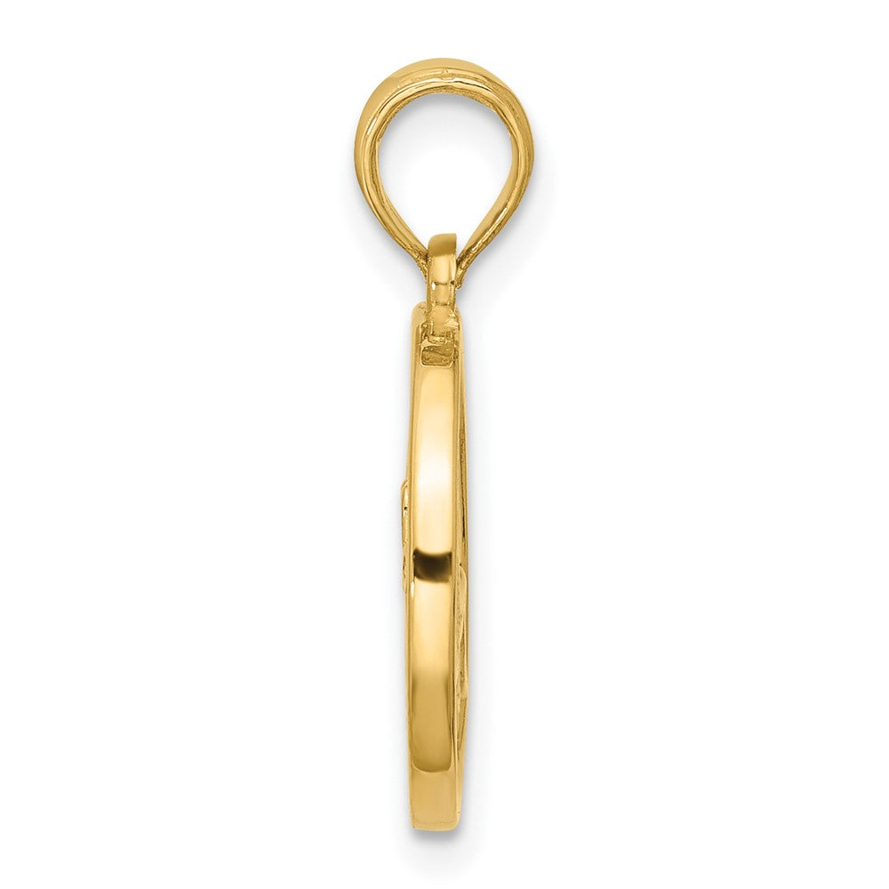 14K Gelbgold Poliert Rund Capricorn Anhänger