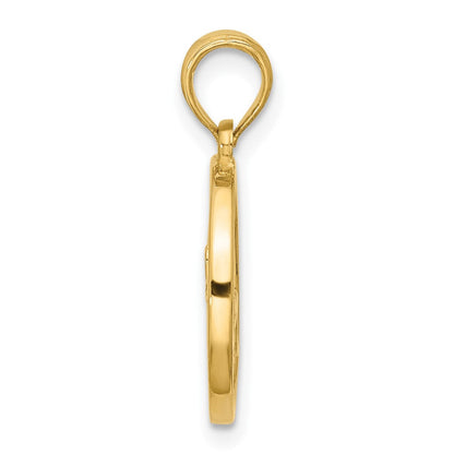 14K Gelbgold Poliert Rund Capricorn Anhänger