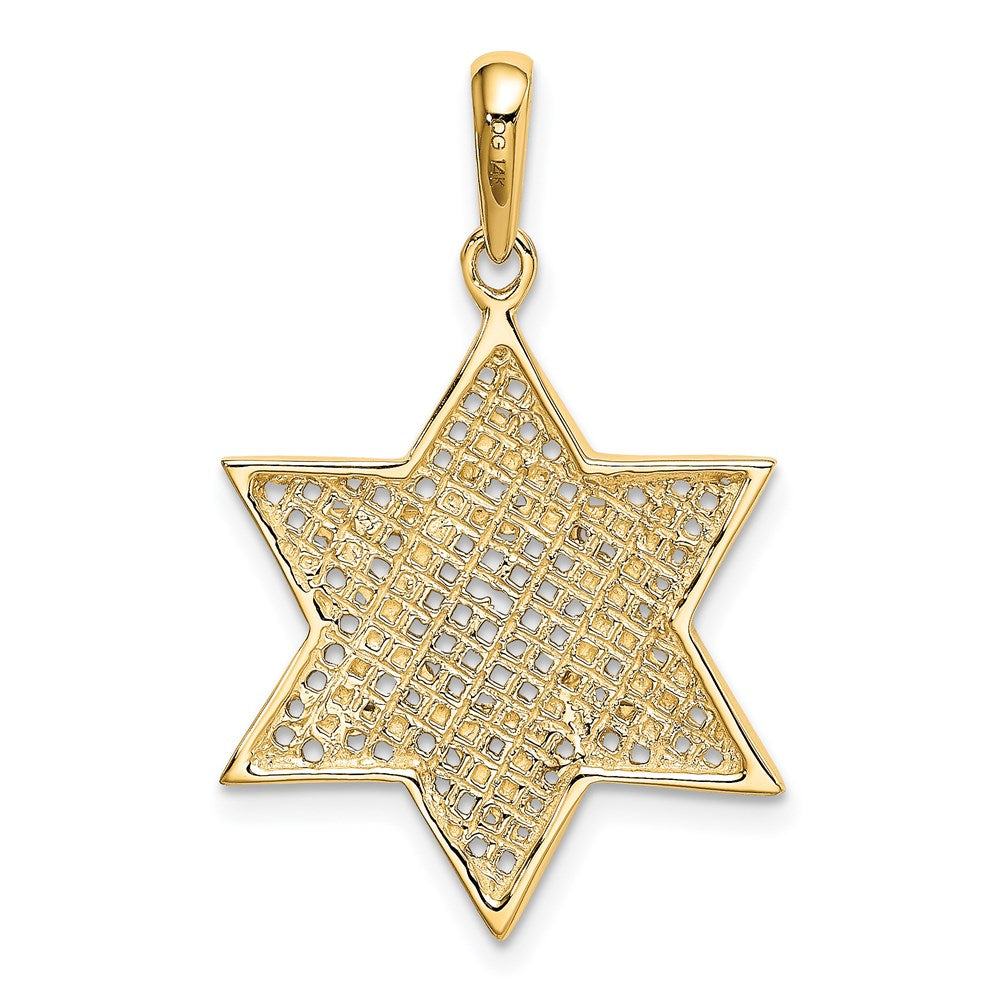 14K Gelb- & Rhodiumgold mit Rhodium Massiver Geflecht-Davidstern-Charm