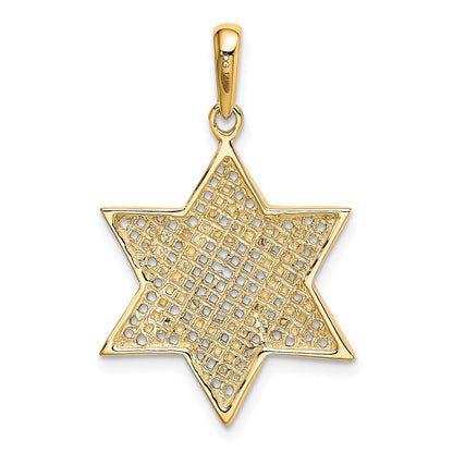 14K Gelb- & Rhodiumgold mit Rhodium Massiver Geflecht-Davidstern-Charm