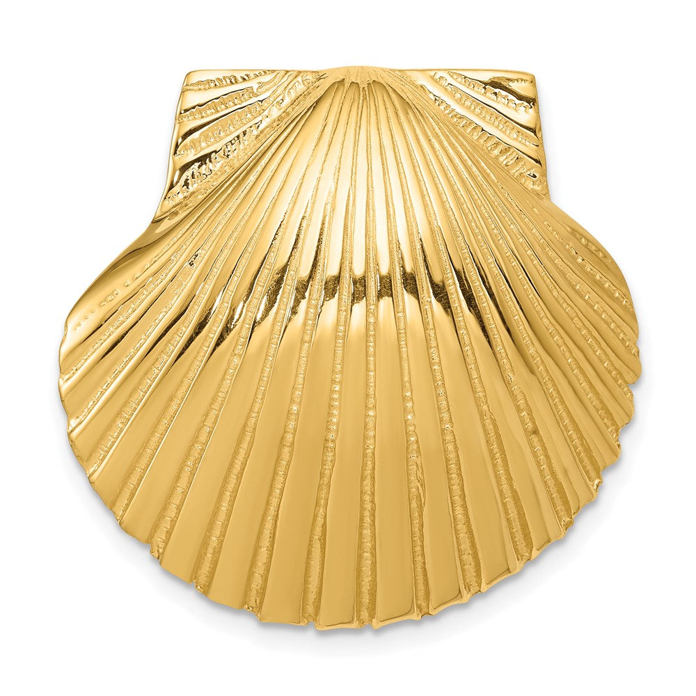 14K Gelbgold Passt Up To 8mm und 10mm Mittel Muschel Anhänger