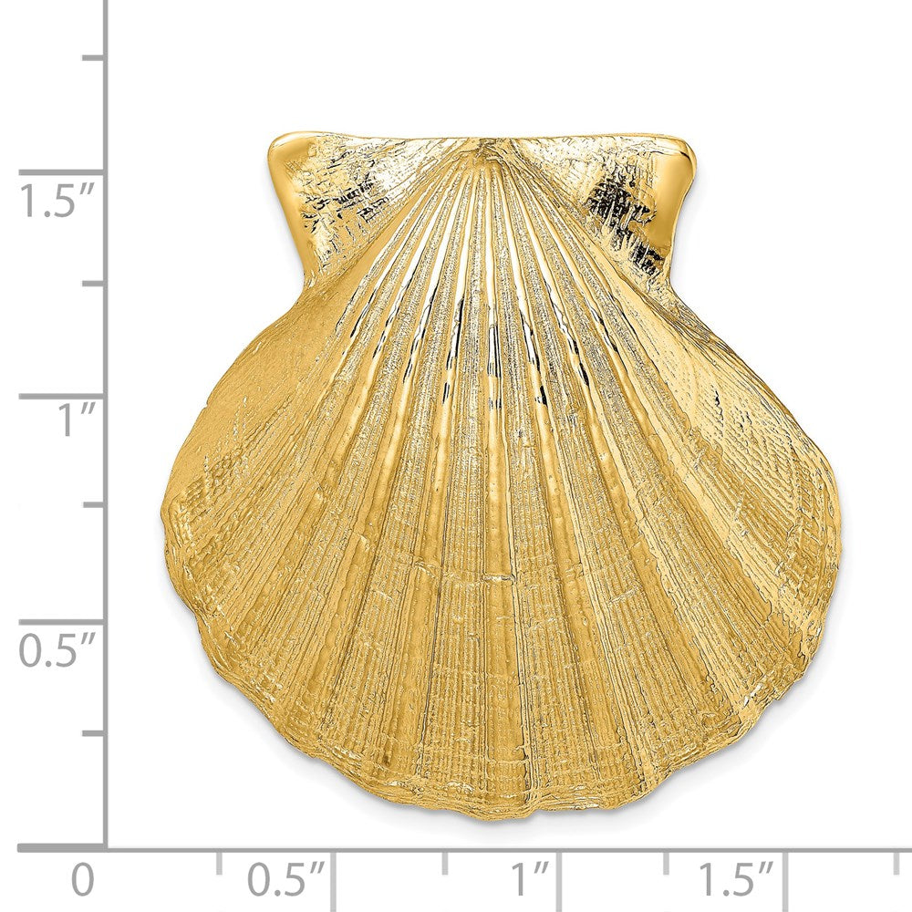 14K Gelbgold Passt Up To 8mm und 10mm Groß Muschel Anhänger