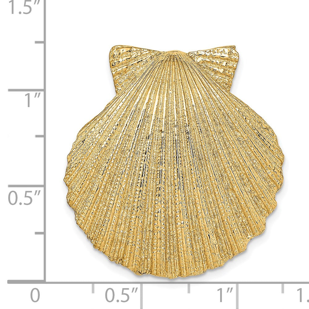 14K Gelbgold Passt Up To 8mm und 10mm Mittel Muschel Anhänger