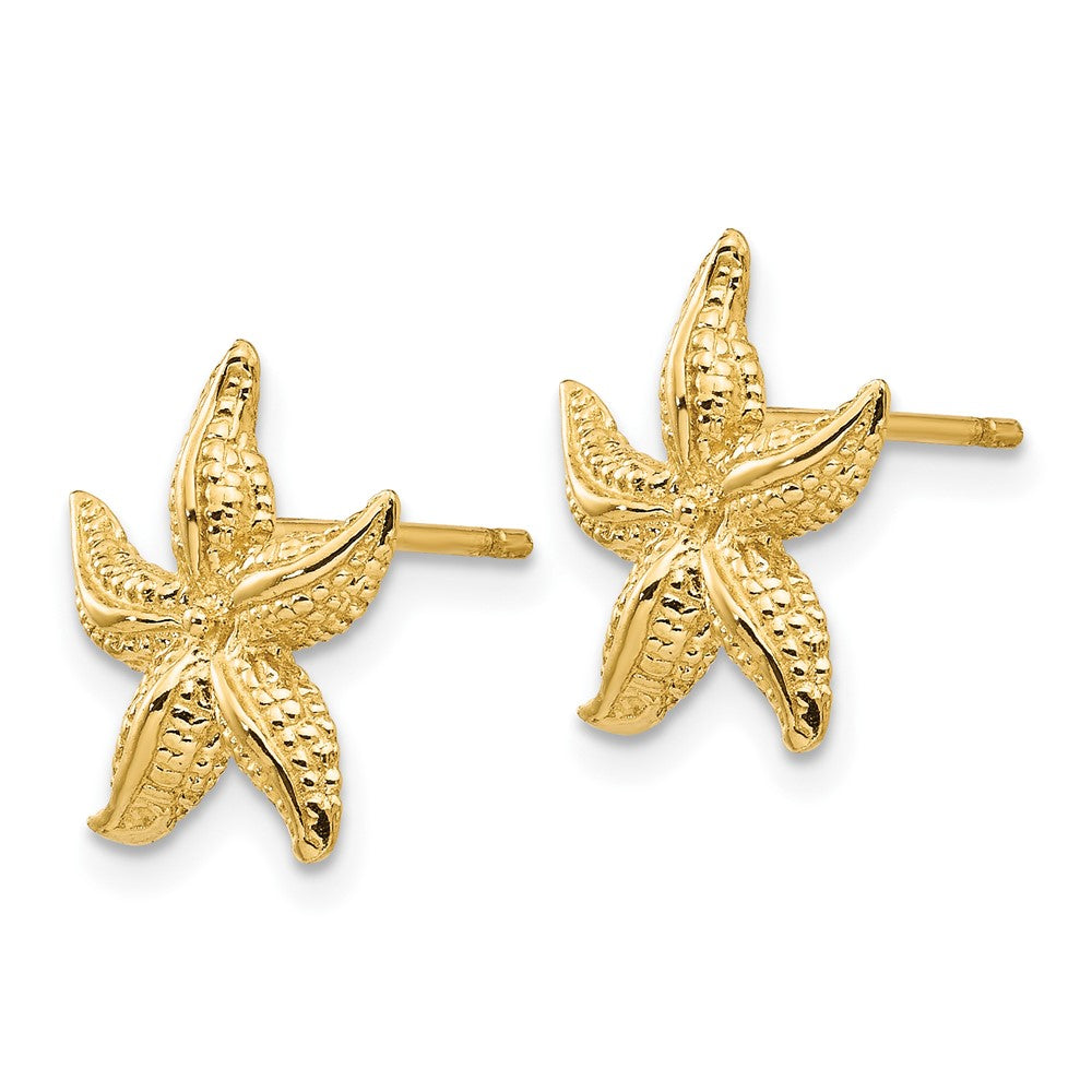 14K Gelbgold Seestern Ohrringe