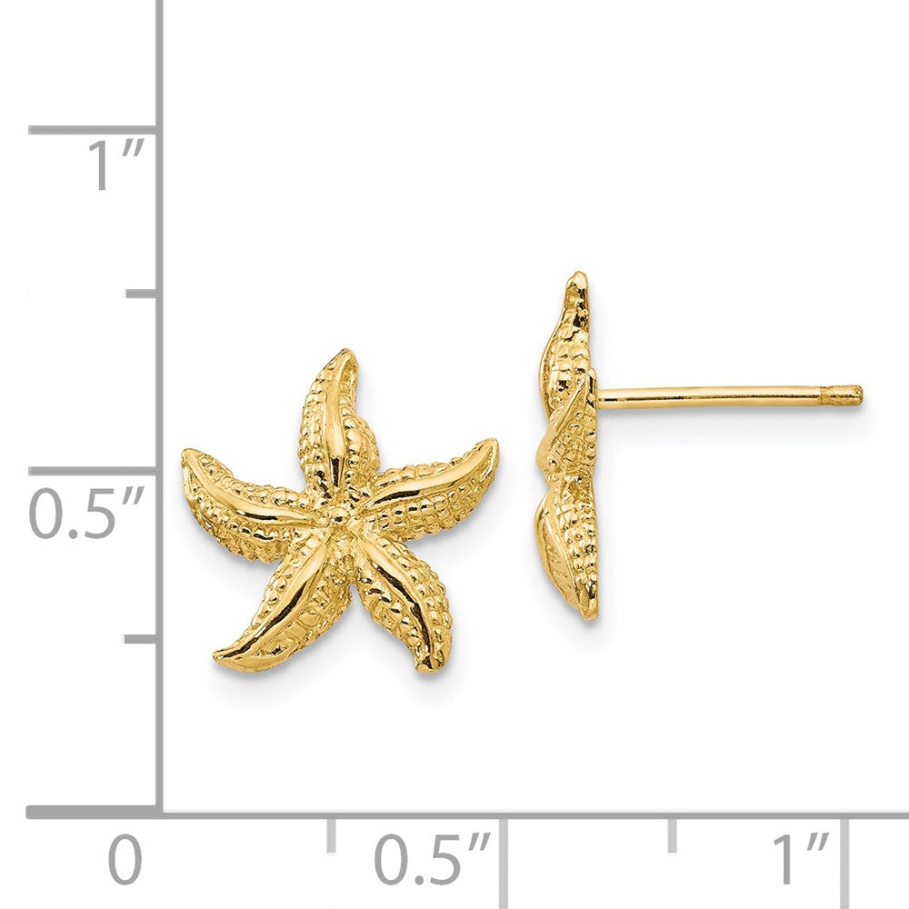 14K Gelbgold Seestern Ohrringe