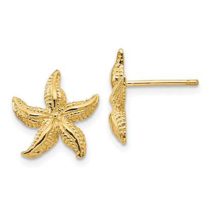 14K Gelbgold Seestern Ohrringe