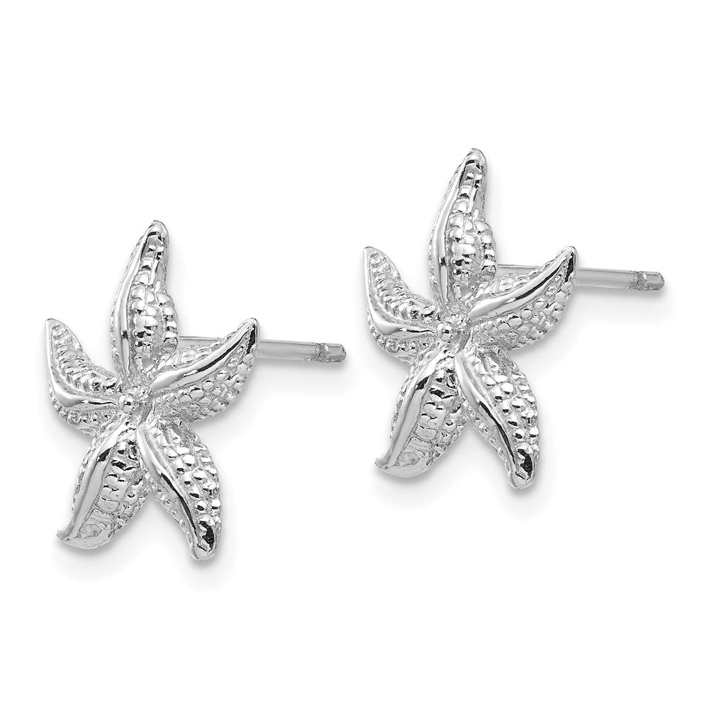 14K Weißgold Seestern Ohrringe