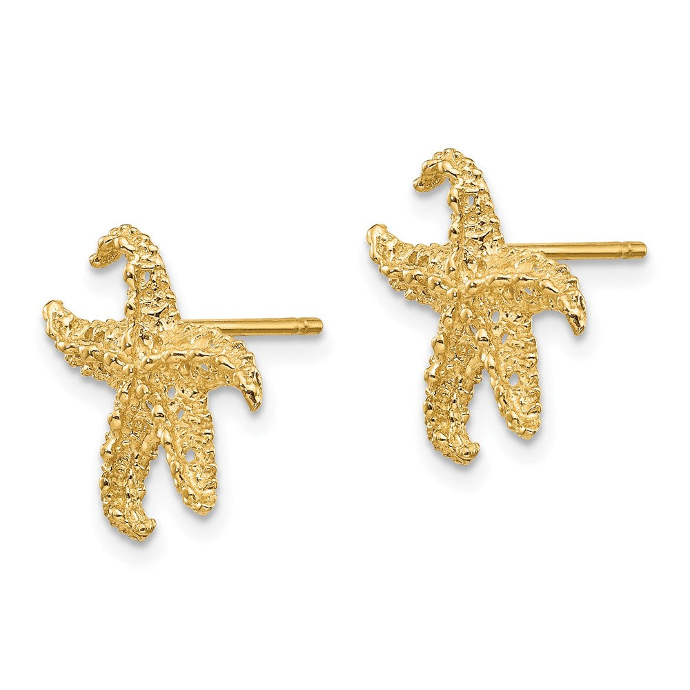 14K Gelbgold Seestern Ohrringe