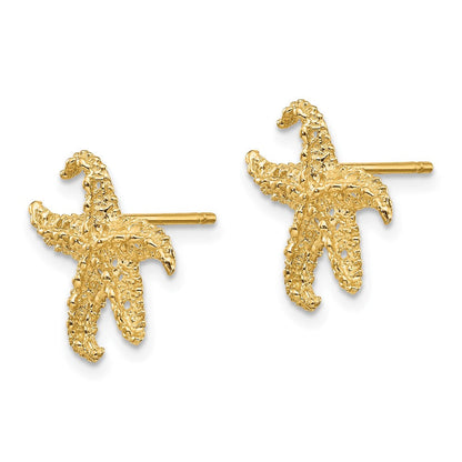 14K Gelbgold Seestern Ohrringe